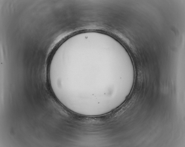X0000112411270200909110942