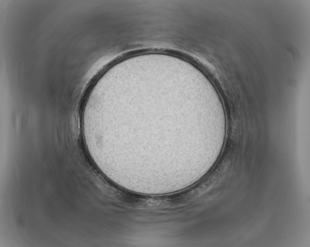 X0000112411271200909110942