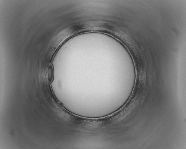 X0000112411273200909110942