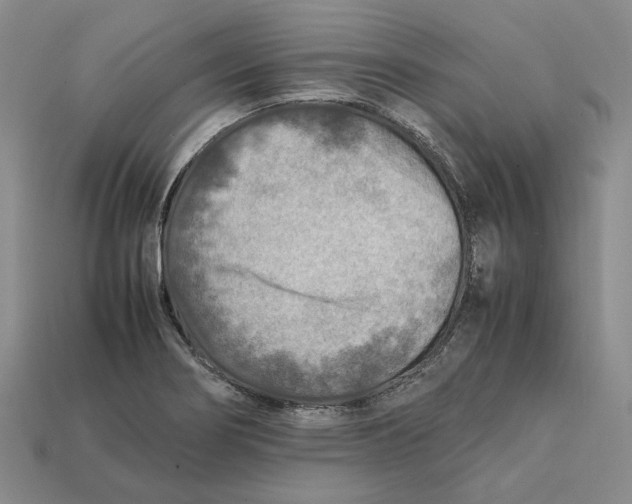 X0000112411274200909110942