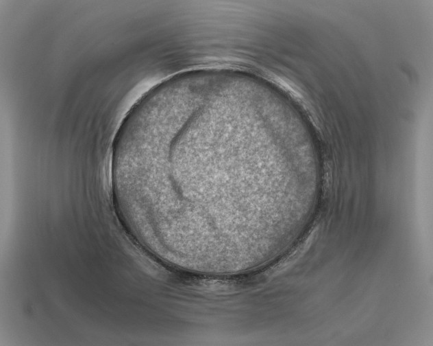 X0000112411275200909110942