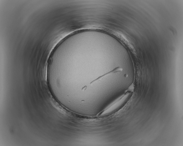 X0000112411276200909110942