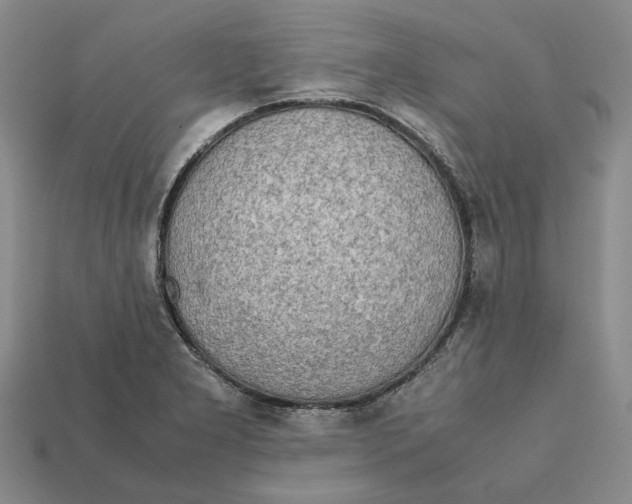 X0000112411277200909110942