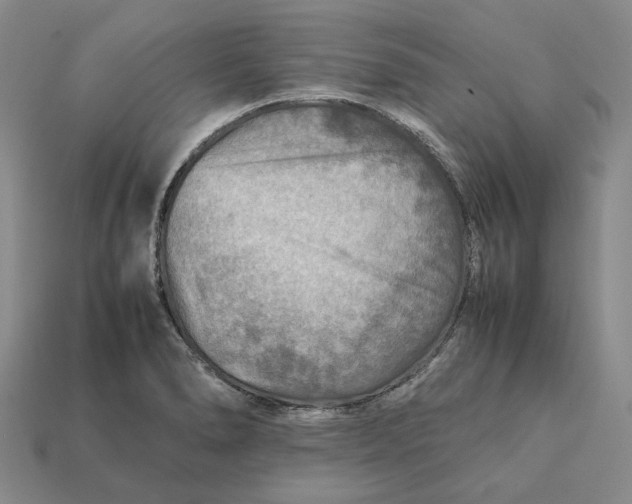 X0000112411278200909110942