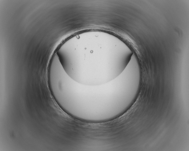 X0000112411280200909110942