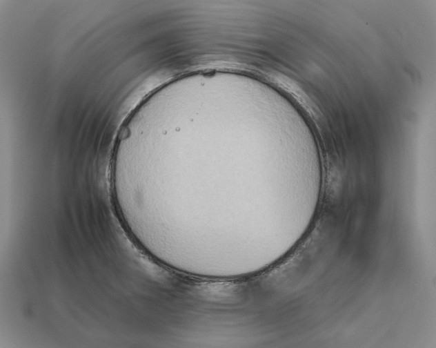 X0000112411282200909110942