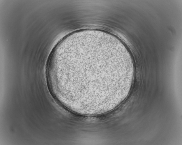 X0000112411283200909110942