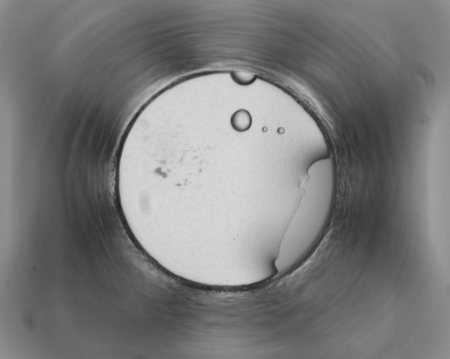 X0000112411284200909110942