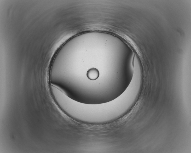 X0000112411285200909110942