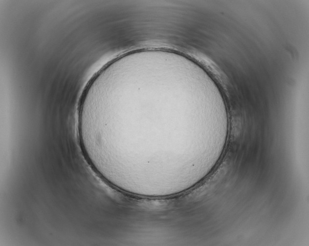 X0000112411286200909110942