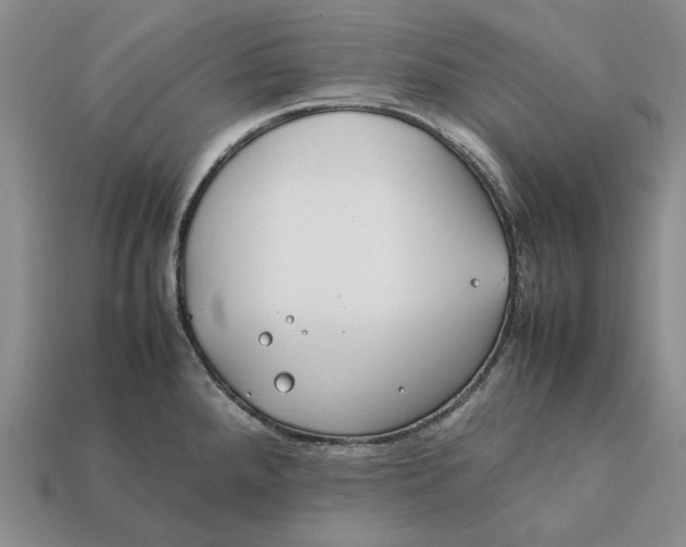 X0000112411288200909110942