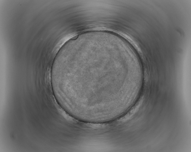X0000112411289200909110942