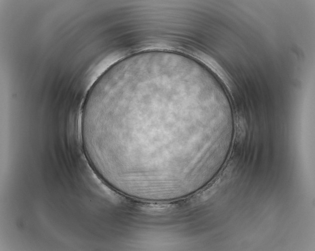 X0000112411290200909110942