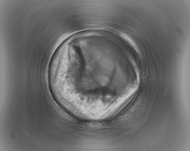 X0000112411291200909110942