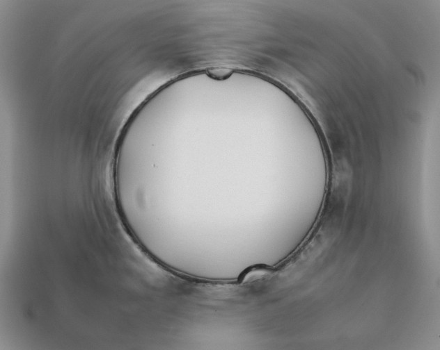 X0000112411293200909110942