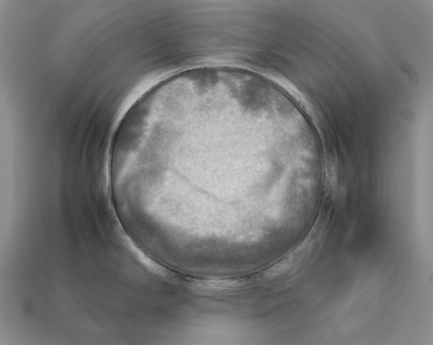 X0000112411294200909110942