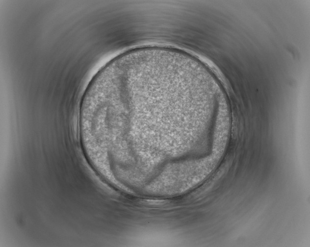X0000112411295200909110942