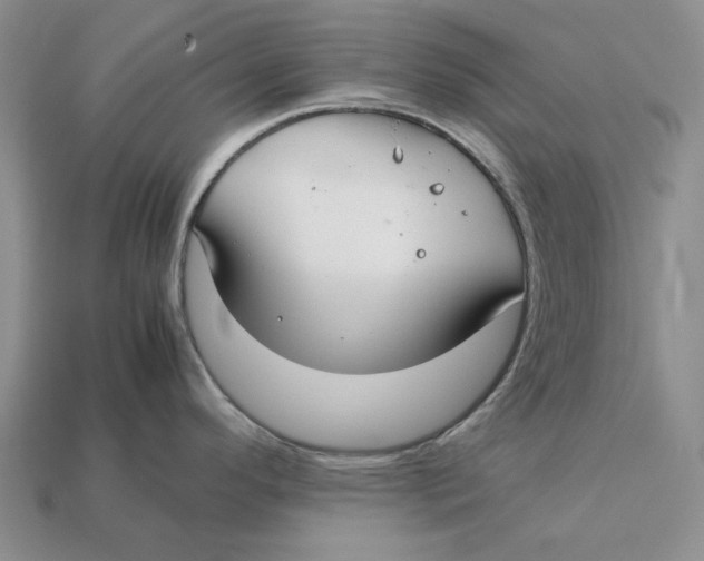 X0000112411296200909110942