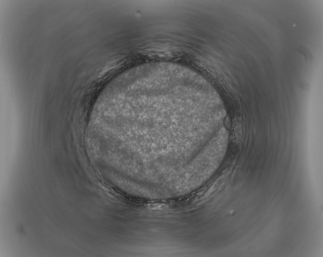 X0000112411297200909110941