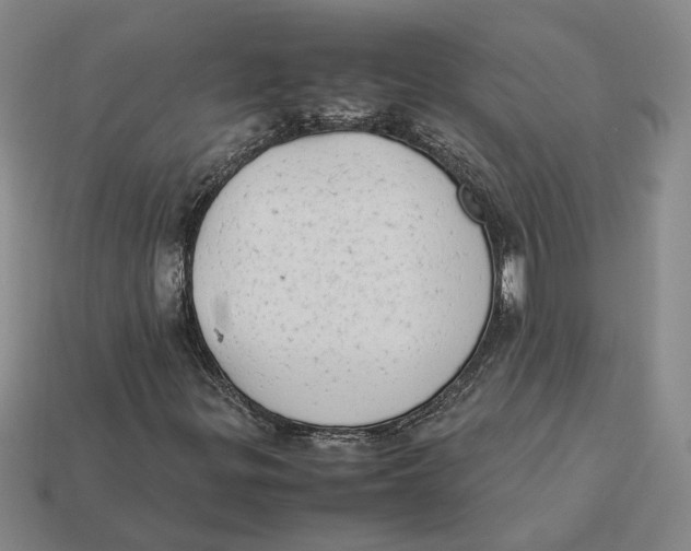 X0000112411299200909110941