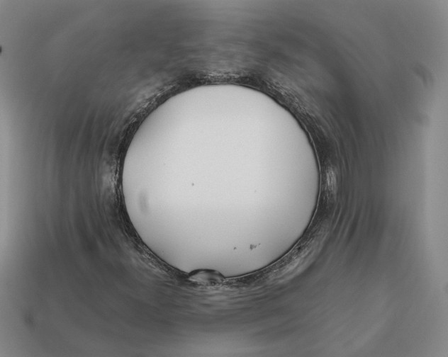 X0000112411300200909110941