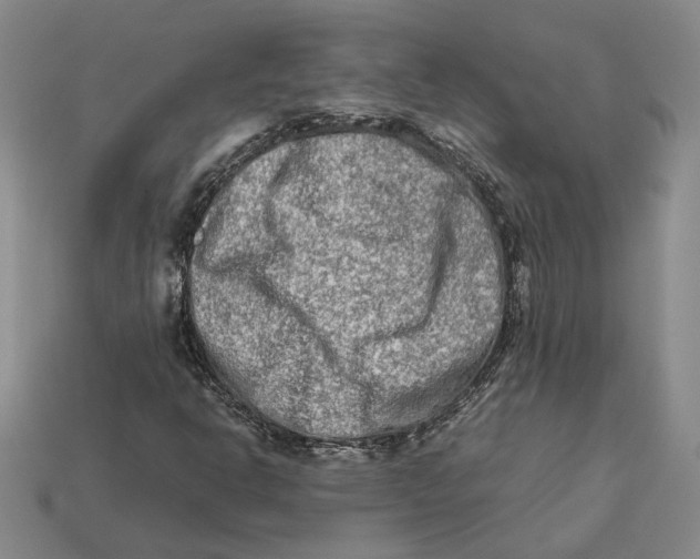 X0000112411302200909110941