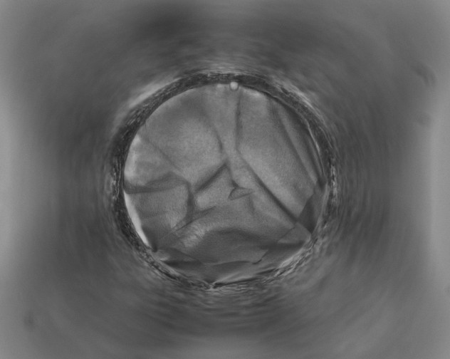 X0000112411303200909110941
