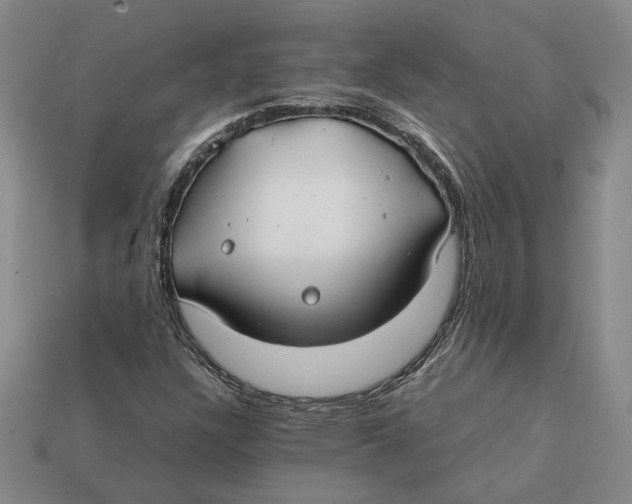 X0000112411304200909110941