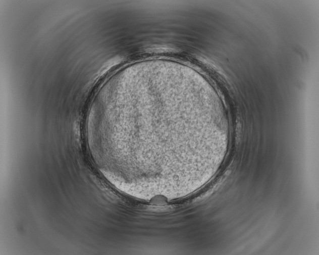 X0000112411305200909110942
