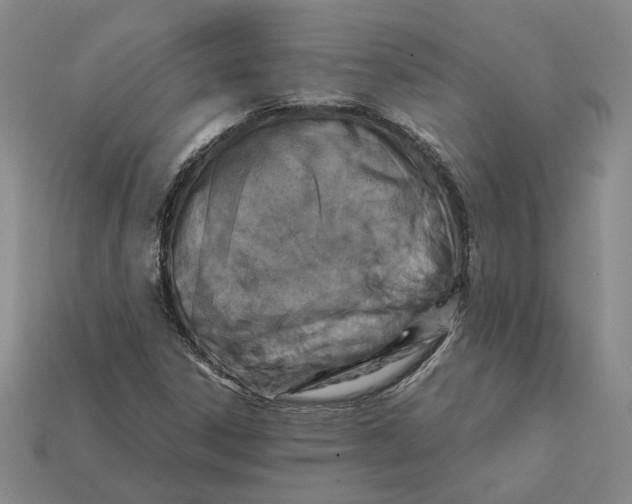 X0000112411306200909110942