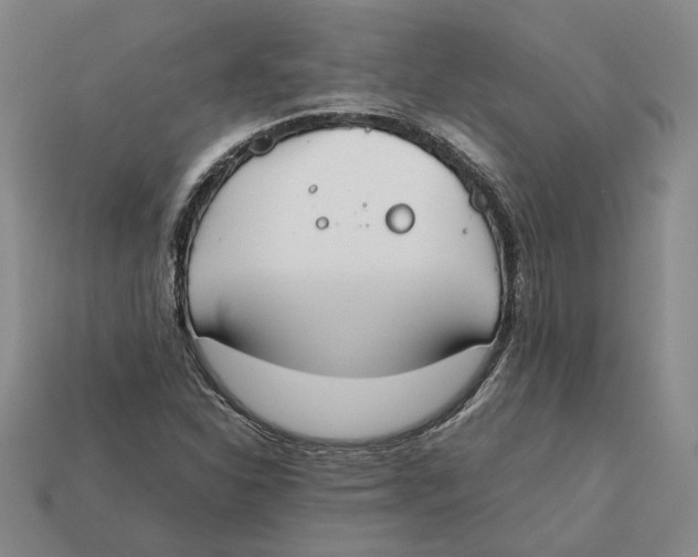X0000112411310200909110942