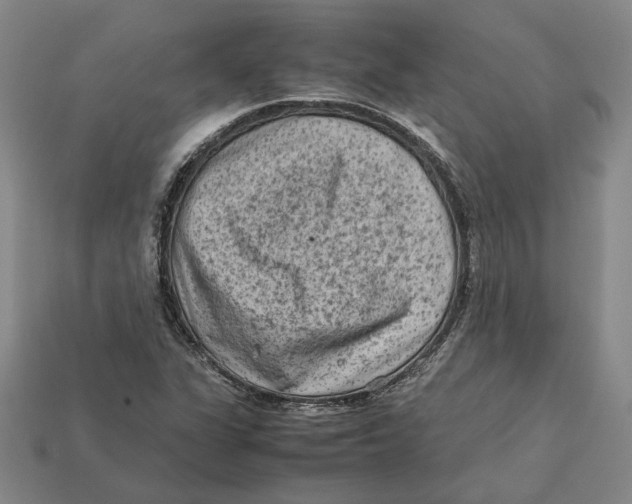 X0000112411311200909110942