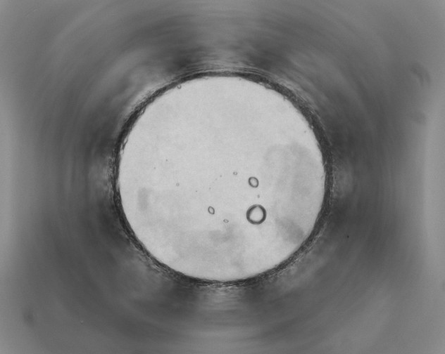 X0000112411314200909110942