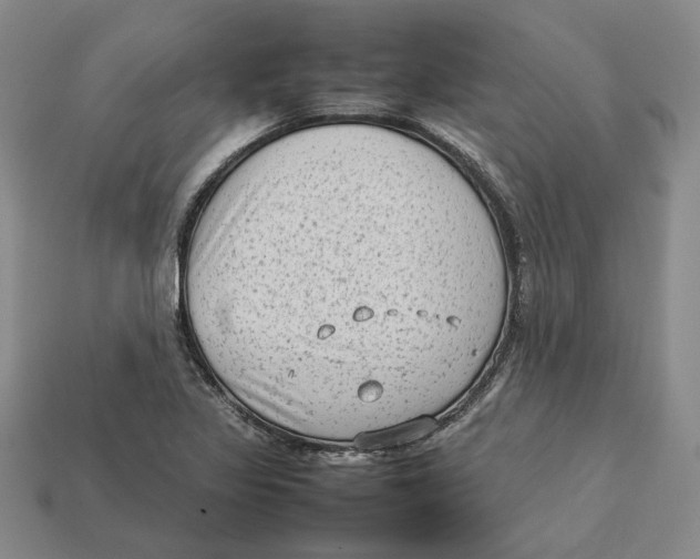 X0000112411317200909110942