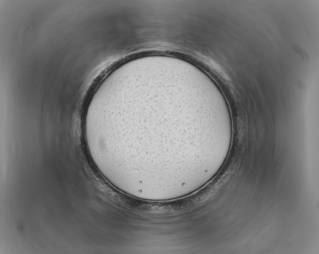 X0000112411318200909110942