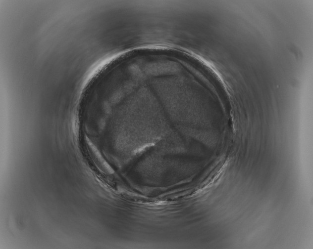 X0000112411319200909110942