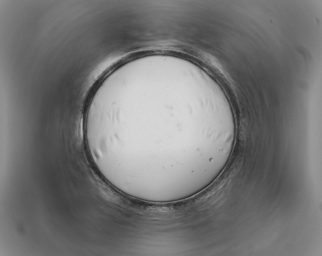 X0000112411320200909110942