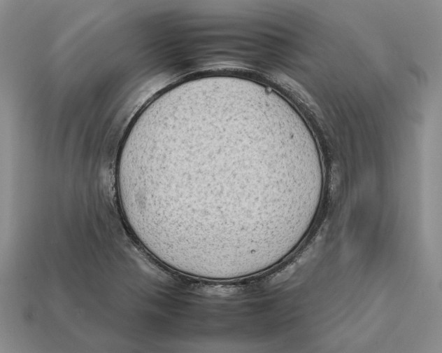 X0000112411321200909110942