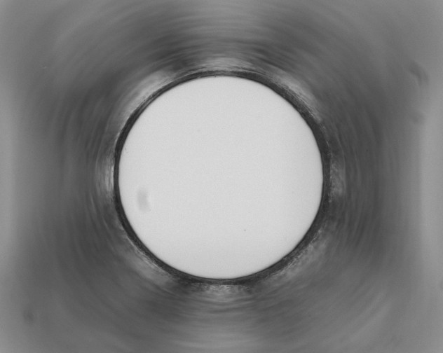 X0000112411322200909110942