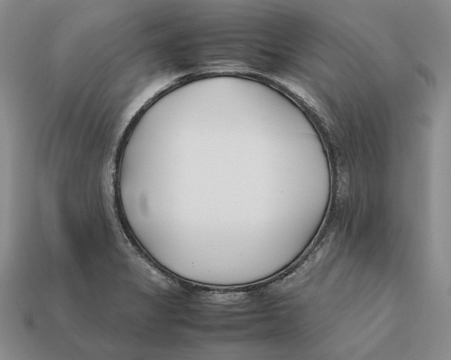 X0000112411325200909110942