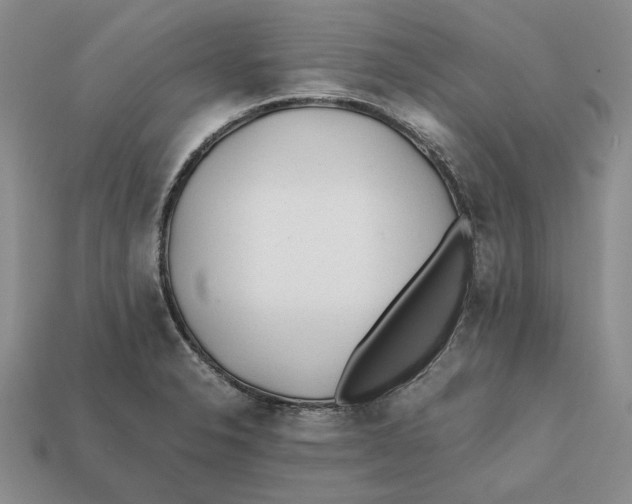 X0000112411326200909110942