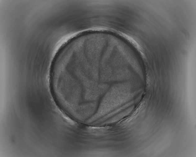 X0000112411327200909110942