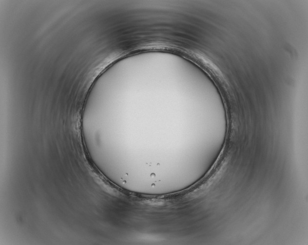 X0000112411329200909110942