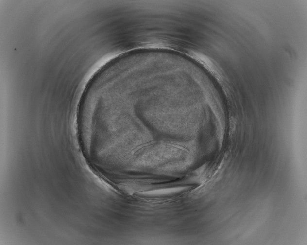 X0000112411331200909110942