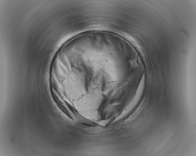 X0000112411334200909110942