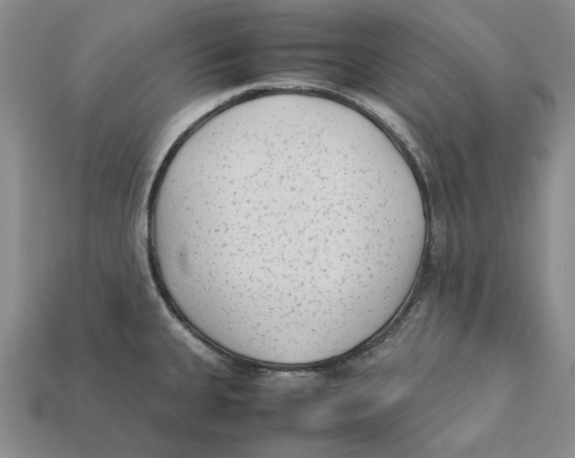 X0000112411335200909110942