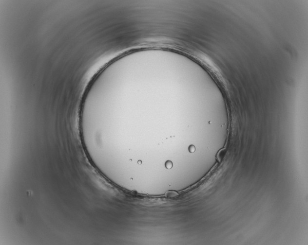 X0000112411336200909110942