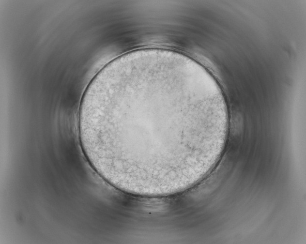 X0000112411338200909110942
