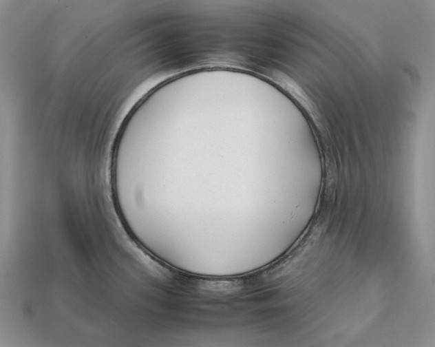 X0000112411339200909110942