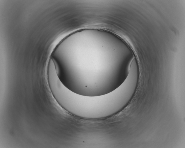 X0000112411344200909110942